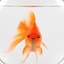 YourGoldFish