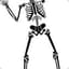 Skeleton