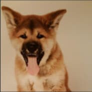 G I|I WUFF-Edu