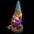 Unusualgnome943
