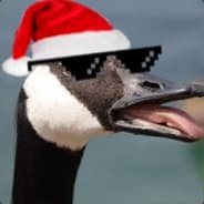 MajesticTheCanadianG