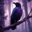 Crow