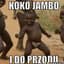 JAJAJAKOKOJAMBOJAJAJ