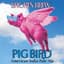 Pig Bird