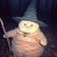 Wizard cat