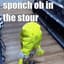Sponge!