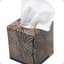 Gaben's Kleenex