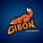 Gibon