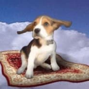 skydoggames