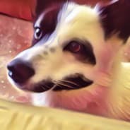AderWolf
