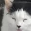 Conky