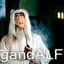 Gandalf™