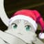 Coolrabbit
