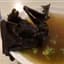 Bat Soup