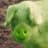 GREEN PIG