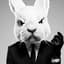 White_Rabbit