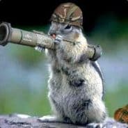 Snitgaard [DK]