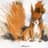 Squirrel_
