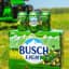 Busch Light