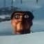 Spoody25