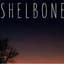 Shelbone