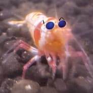 Shrimpin' Ain't Eazy