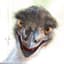 Emu
