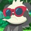 pandzz