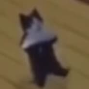 Ⓡ丨Stefkeey