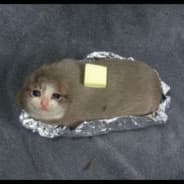 CatWithASlapOfButter