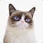 Grumpy_Cat