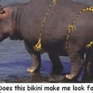 AnObeseHippo20