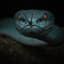 LeenViper