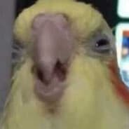 RagiKaz