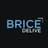 Bricedelive