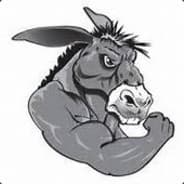 donkey