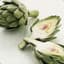 Artichoke