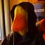 Duck_Gamingg