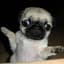 PuggyWuggy
