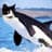 Dolphincat