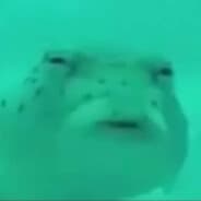 Khaos