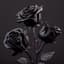 BlackRose