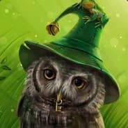 Bird_Wizard
