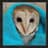 tOwl