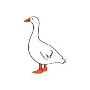 Goose