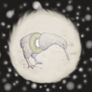 KosmicKiwi