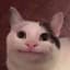 HondoBecc