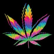 Schnitzel420
