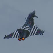 KiwiPizza453