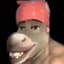Donkey